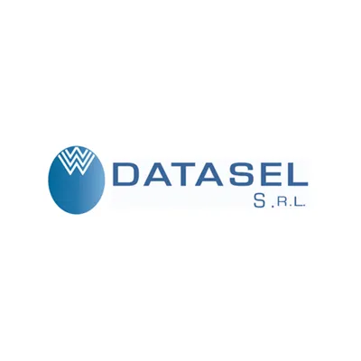Datasel S.R.L. logo