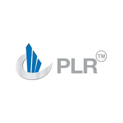 PLR Systems India Limited logo